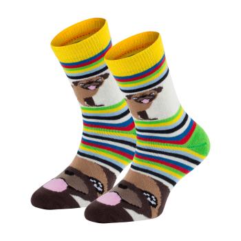 6 Paar TippTexx 24 Kinder Socken Lustige Hunde